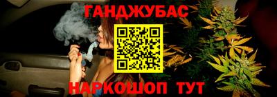 прущие грибы Балашиха