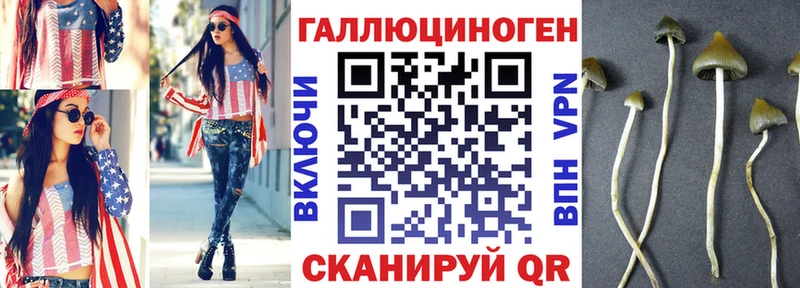 Галлюциногенные грибы Magic Shrooms  Верхняя Пышма 