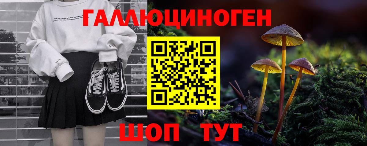 Галлюциногенные грибы Psilocybe Верхняя Пышма