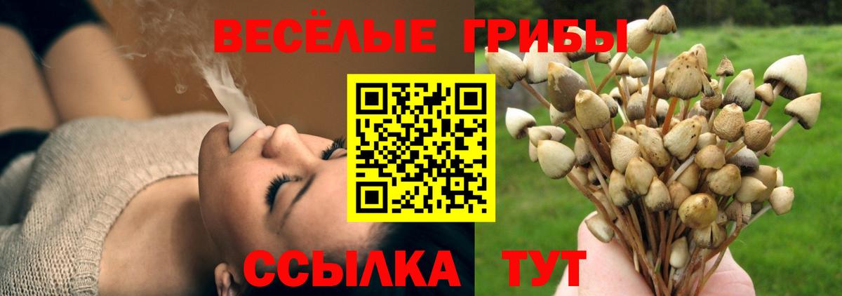 где купить наркотик  Верхняя Пышма  Псилоцибиновые грибы MAGIC MUSHROOMS 